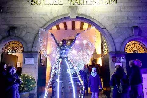 Besucher dürfen sich bei den „Wachenheimer Unterwelten“ auf weit mehr als Essen und Trinken freuen. 