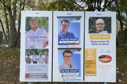 Wahlkampfendspurt: Dennis Nitsche, Peter Pfaff und Steffen Weiß bewerben sich um den Chefsessel im Rathaus.