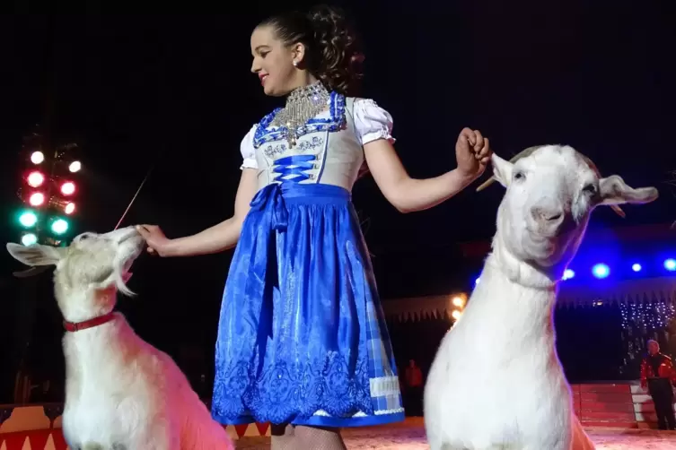 Die Tochter des Zirkusdirektors, Ann-Kathrin Bossert, hat sich auf Tiere spezialisiert.