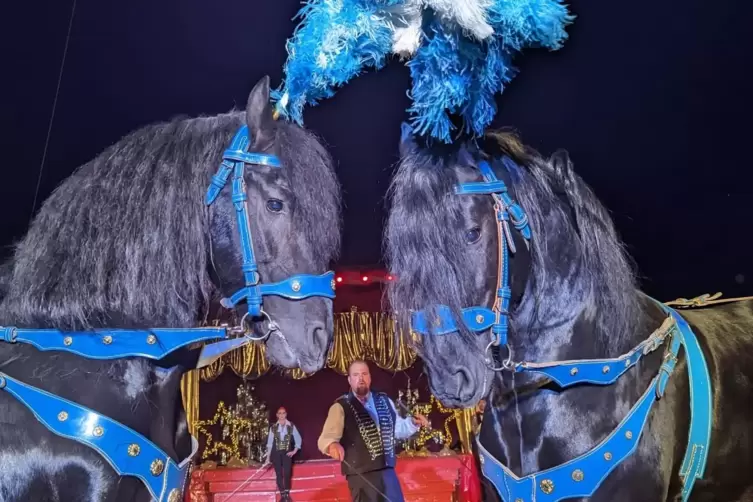 Pferde spielen eine gro&szlig;e Rolle f&uuml;r den Zirkus.