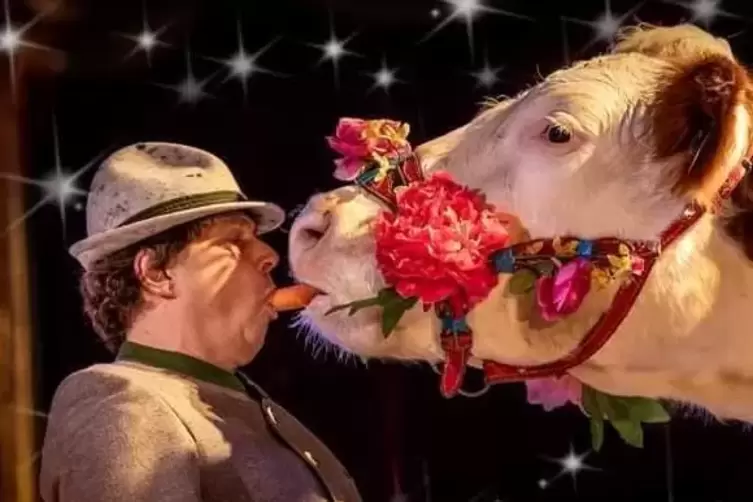 Mit den K&uuml;hen Heidi und Milka steht der Zirkusdirektor auch selbst in der Manege-