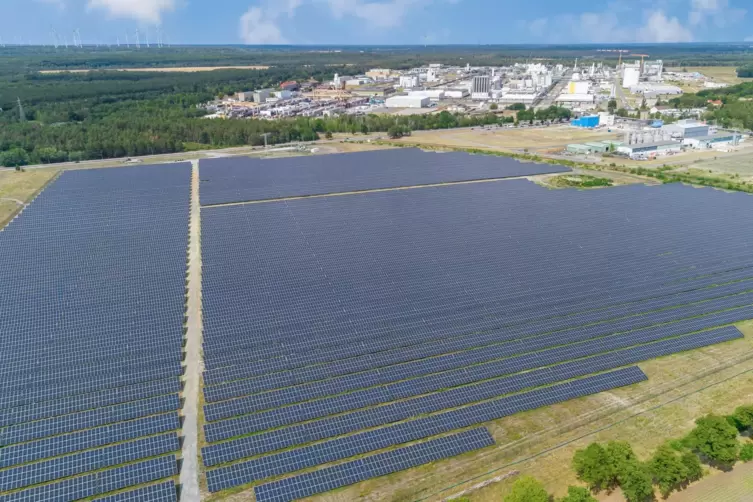Am Standort Schwarzheide betreibt die BASF mit Partnern seit 2022 einen Solarpark, der mit 24 Hektar allerdings deutlich kleiner