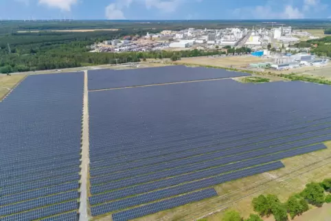 Am Standort Schwarzheide betreibt die BASF mit Partnern seit 2022 einen Solarpark, der mit 24 Hektar allerdings deutlich kleiner