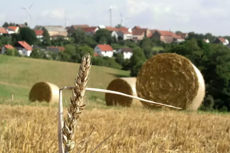 Mal ein anderer Blick auf Biedershausen. Vor 20 Jahren noch ganz unten, ist die Kaufkraft der Einwohner aus dem Dorf auf der Sic