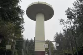 Auf einer Erhöhung im Pfälzerwald ragt die Radarstation 45 Meter in die Höhe. 