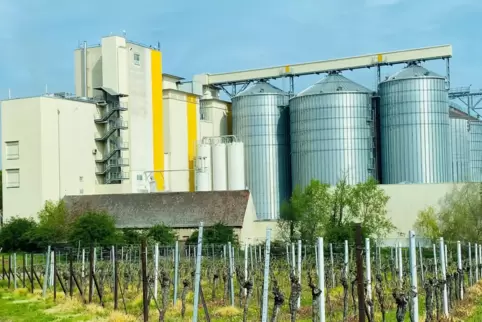 In der Cornexo-Mühle wurden im vergangenen Jahr rund 80.000 Tonnen Mais verarbeitet.