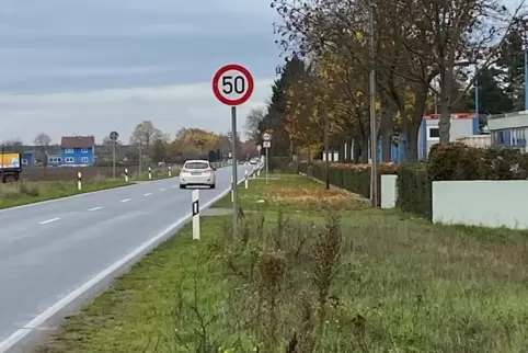 Derzeit müssen Radfahrer, die von Maudach in Richtung Oggersheim unterwegs sind, auf der Speyerer Straße die Fahrbahn nutzen.