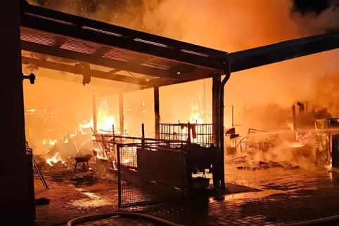 Der Unterstand in Rüssingen ging in Flammen auf. 