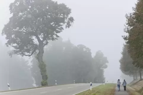 Am Ortsausgang von Bruchmühlbach Richtung Hauptstuhl soll sich nördlich der Kaiserstraße Gewerbe ansiedeln können. 