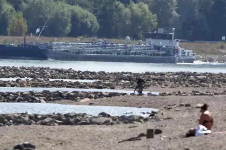 Kein ungewohntes Bild: sommerliches Niedrigwasser im Rhein bei Speyer.
