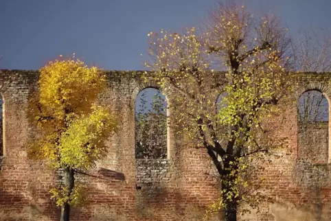 Die lange Fensterreihe, die oben zu sehen ist, erhellte einst ein Seitenschiff der Klosterkirche Limburg. Im 11. Jahrhundert wur