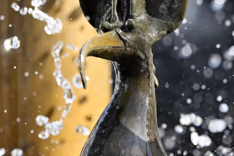 Ob Elwetritsche Wasser mögen, ist naturwissenschaftlich umstritten – die am Neustadter Elwetritsche-Brunnen tun es auf alle Fäll