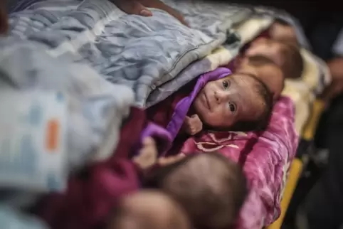 Diese Frühgeborenen wurden aus dem Gazastreifen herausgebracht; einige von ihnen sind inzwischen in ägyptische Krankenhäuser geb