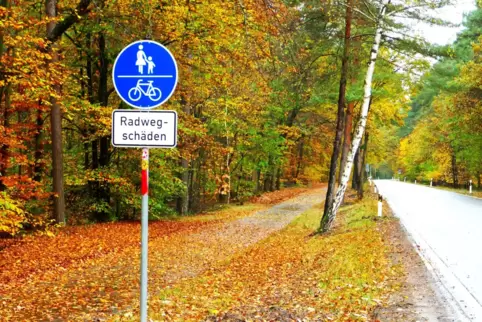 Radweg an der K15: Birgt derzeit Gefahren für Radler.
