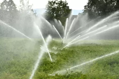 Woher das Wasser für Felder im Norden des Rhein-Pfalz-Kreises kommt, ist keine unwichtige Frage. Die Beindersheimer sind wegen d