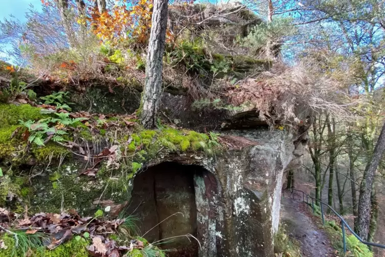 Struppig überwucherte Ruine: der Torbereich der Wilgartaburg, links die Felsenkammer für den Wachposten. 