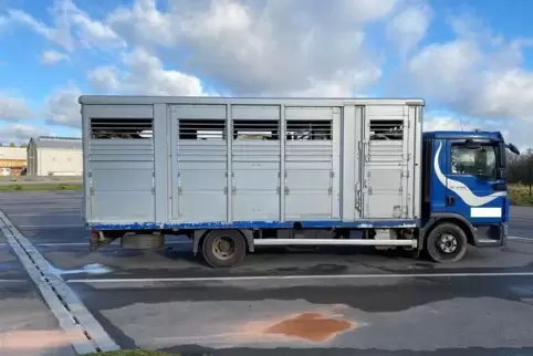 Die auf dem Lkw befindlichen Kühe wurden direkt am Autohof Landstuhl umgeladen. 