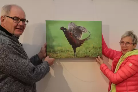 Volker Ullmer vom Vogelschutzverein und Hobbyfotografin Iris Altvater hängen das erste Bild für die Ausstellung ins Blaue Rathau