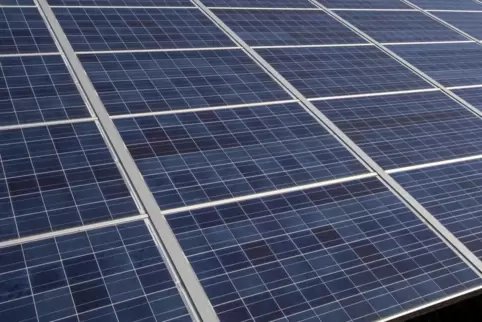 Auf einer Fläche von gut fünf Hektar soll auf Sankt Albaner Gebiet eine Photovoltaikanlage errichtet werden. 