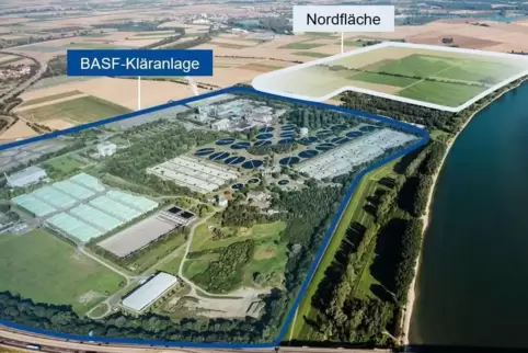 122 Hektar groß soll die Fotovoltaikanlage auf der Petersau, nördlich der BASF-Kläranlage, werden.
