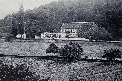 Die Waldmannsburg um 1912. 