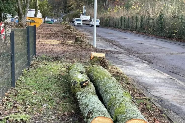 Nun wurden Bäume in der Straße gefällt. 