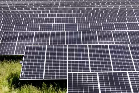 Eine Agri-Photovoltaikanlage, bei der die Fläche gleichzeitig für Landwirtschaft genutzt werden kann, soll auf Alsenzer Gebiet z