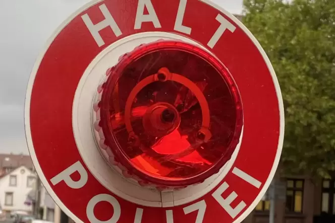 Die Polizei Kirchheimbolanden und die Verkehrsdirektion Mainz haben auf einem Parkplatz an der L401 den Schwerverkehr kontrollie