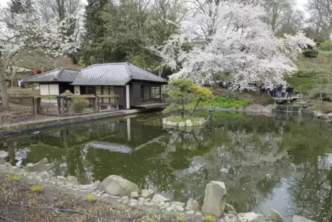 Der Japanische Garten ist bei Tagestouristen beliebt. 