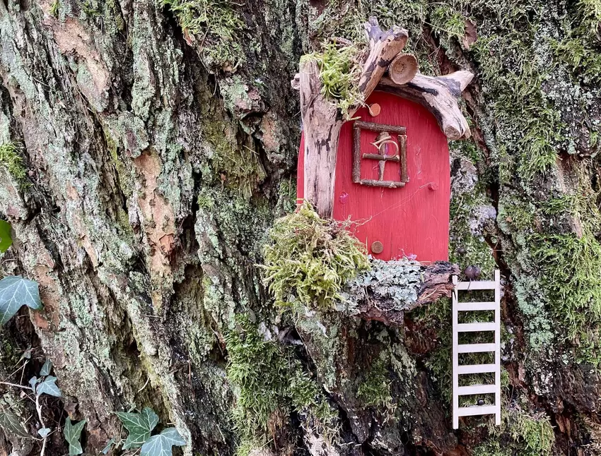Offenbar ist dieser Baum bewohnt!