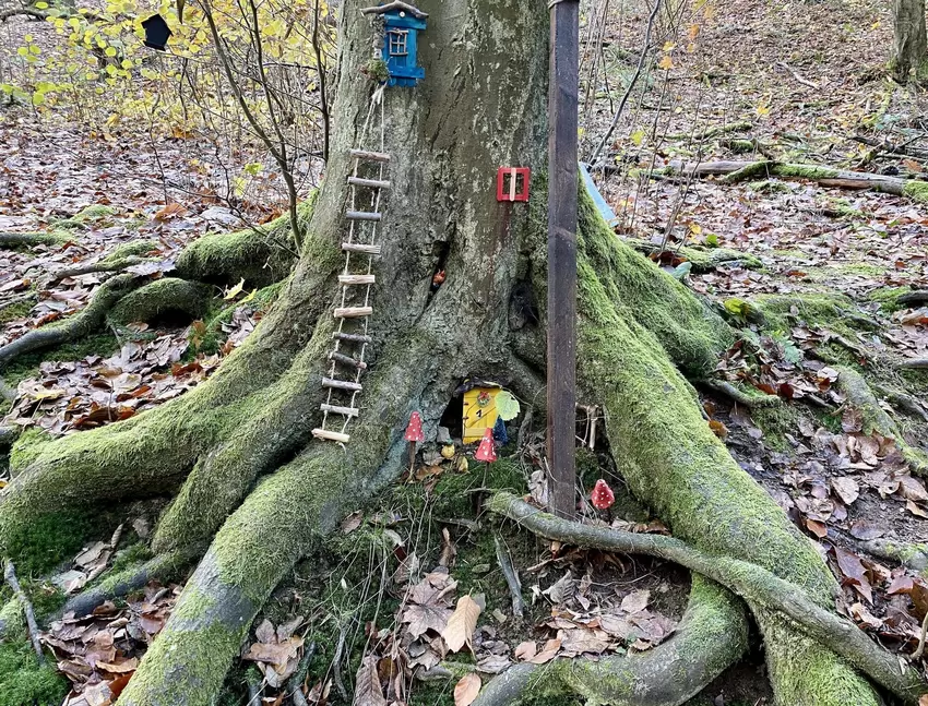 Wer mit offenen Augen durch den Wald geht, kann die Wichtelbehausungen nicht übersehen.