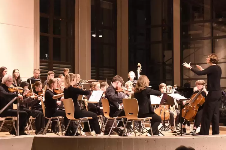 Das Orchester bestritt den ersten Teil des Abends. 