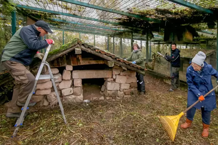 Bei der Arbeit in einer der Volieren auf dem Gel&auml;nde auf dem Spitzenrheinhof: (von links) G&uuml;nter Iwersen, Courtney Iwersen, Dani