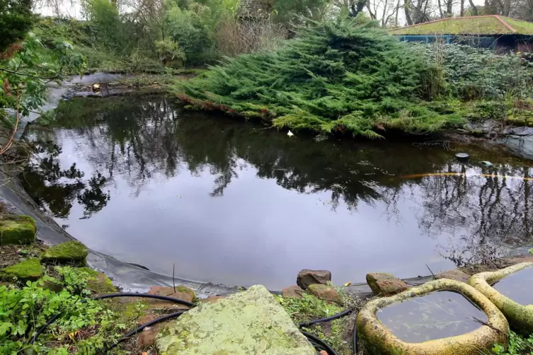 Der gro&szlig;e Teich in der Mitte des Gel&auml;ndes. Es ist fast einen halben Hektar gro&szlig;. 