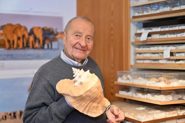 Seine Sammlung ist so umfangreich wie kurios: Hans Cherdron mit einer indonesischen Flügelschnecke.