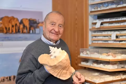 Seine Sammlung ist so umfangreich wie kurios: Hans Cherdron mit einer indonesischen Flügelschnecke.