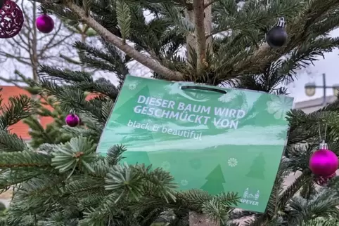 Abgeschmückt: CDU-Baum in Speyer-Nord.