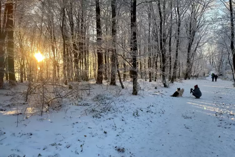 Am Sonntag hatte sich auf dem Donnersberg zwischen den B&auml;umen auch immer wieder die Sonne blicken lassen.