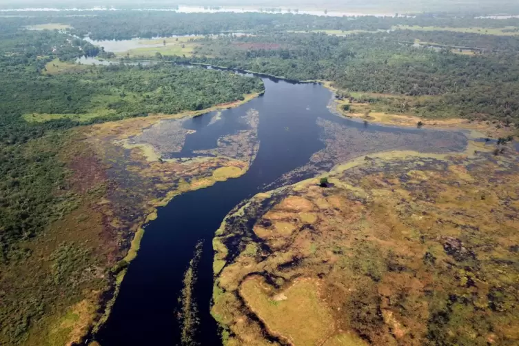 Das Wasser des Ruki-Flusses im Kongobecken ist aufgrund einer hohen Konzentration an gelösten organischen Substanzen so dunkel w
