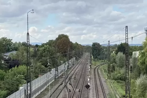 Blick von der Buschwegbrücke in Oggersheim: Rechts ist das Gleis zur BASF und zum Kombi-Terminal zu sehen. 