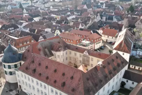 Schloss Bad Bergzabern
