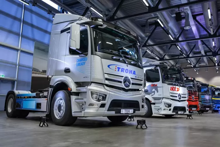 Der erste Lkw von links geht an die Spedition Troha in Hagenbach. Aus der S&uuml;dpfalz waren auch die Speditionen Nuss (W&ouml;rth), Eich