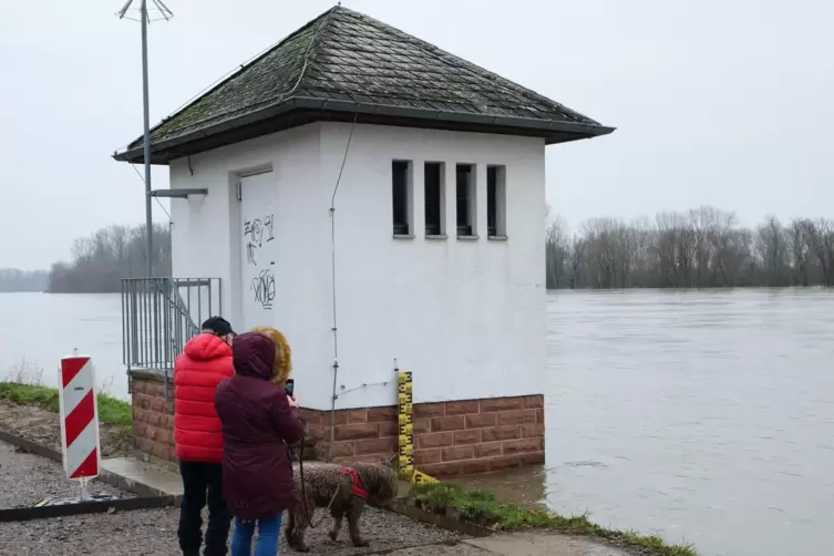 Der Pegel Speyer: Bei einem Hochwasser im Frühjahr 2021 stand das Wasser bei zirka 7,90 Meter. 
