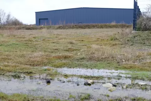 Auf der Brachfläche neben dem Karthaus (im Hintergrund) plant Antonio Cipolla eine Paintball-Arena.