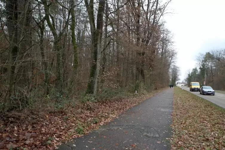 Westlich der Landesstra&szlig;e 540 zwischen Jockgrim und Rheinzabern liegt das kleine Waldst&uuml;ck unter dem sich die Deponie befindet. 