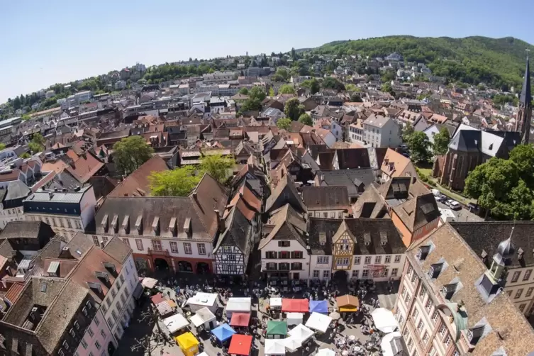 Blick auf die Haardt und den Neustadter Marktplatz. 