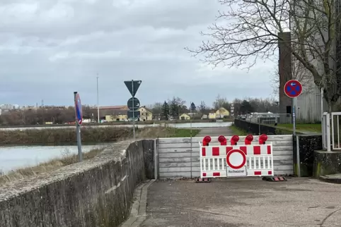 Mit Spundwänden wurden Deichscharten bei Wörth geschlossen.