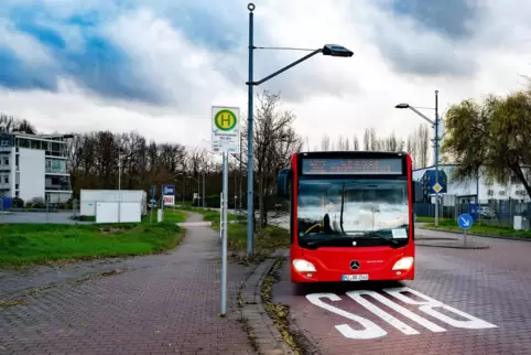Neues Bild: regelmäßiger Bus-Halt in der Stockholmer Straße ganz im Süden der Stadt.
