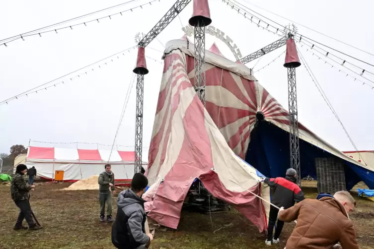 Mit vereinten Kräften zogen die Zirkusleute das Zelt empor. 
