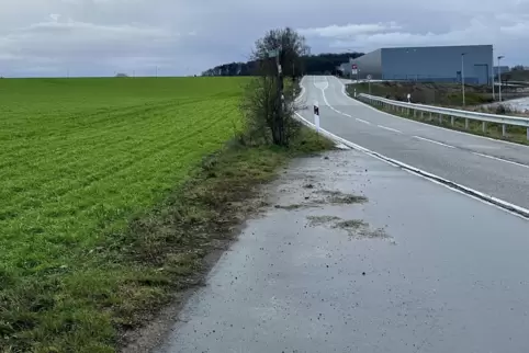 Einen Katzensprung entfernt von der für Amazon gebauten Logistikhalle am Steitzhof soll der Batteriepark gebaut werden. 